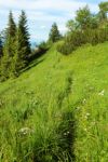 2014-07-05_Laengental-N-Hochweg (789). JPG